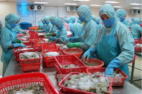 Vì sao doanh nghiệp thành lập mới nhiều, tăng trưởng kinh tế đầu năm vẫn thấp? ảnh 1